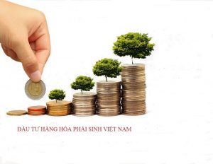 dau-tu-hang-hoa-phai-sinh10
