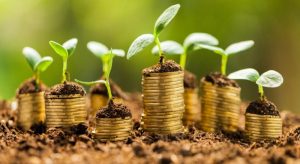 co-hoi-dau-tu-sinh-loi-cao-voi-gia-cat-loi