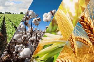 san-giao-dich-hang-hoa-viet-nam-5