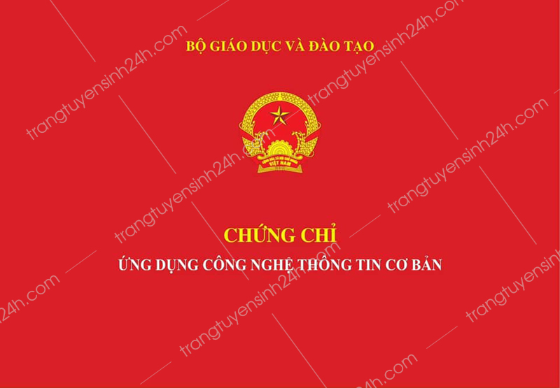 chung-chi-cong-nghe-thong-tin-co-ban